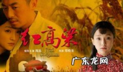 红高粱剧情 红高粱剧情解析
