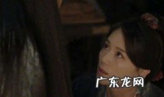 苏子美是谁? 苏子美是谁