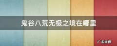 鬼谷八荒无极之境几个 鬼谷八荒无极之境在哪里