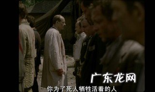啄木鸟剧情