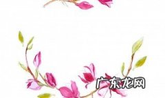 关于桃花最出名的诗句 关于桃花最出名的诗句