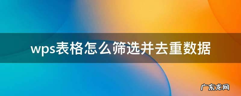 wps表格内容去重 wps表格怎么筛选并去重数据