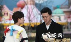 恋了爱了剧情介绍演员 恋了爱了剧情介绍