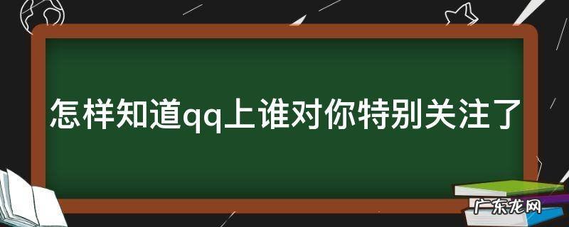 怎样知道qq上谁对你特别关注了自己 怎样知道qq上谁对你特别关注了