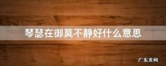 琴瑟在御莫不静好什么意思 琴瑟在御 莫不静好 有什么其他的意思吗?