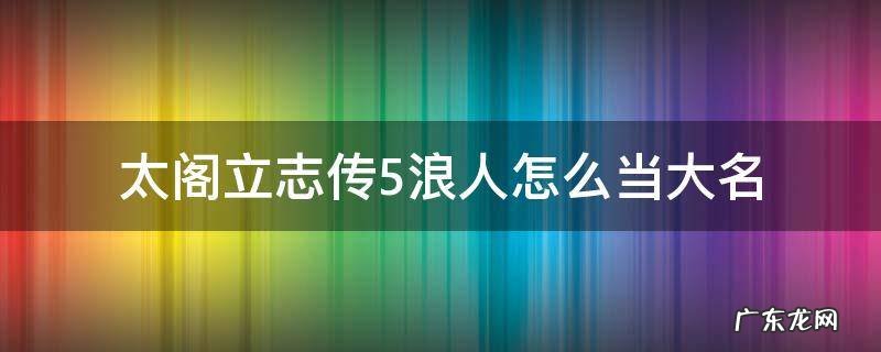 太阁立志传4大名变浪人 太阁立志传5浪人怎么当大名