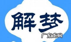 梦见家里被盗一片狼藉 梦见家里被盗