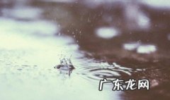 雨停了后的句子 雨停了的句子怎么写得更优美