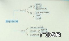 数学思维导图怎么画三年级下册 数学思维导图怎么画