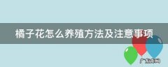 橘子花怎么养殖方法及注意事项 橘子花怎么养殖方法及注意事项用什么肥料
