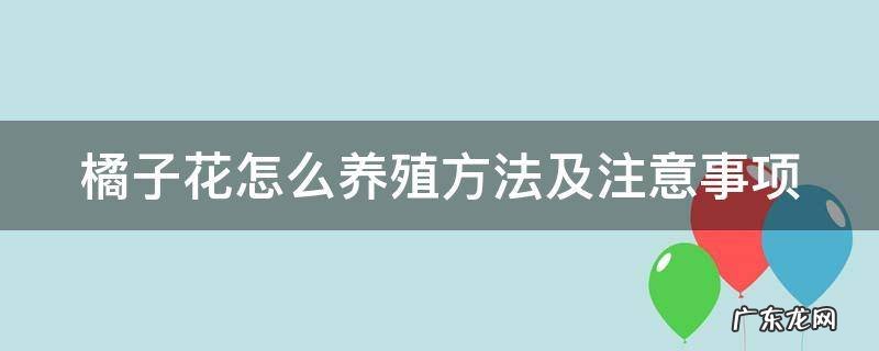 橘子花怎么养殖方法及注意事项 橘子花怎么养殖方法及注意事项用什么肥料