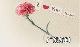 有关花的母亲节祝福语 母亲节与花的诗句