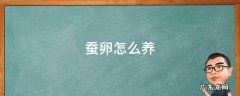 蚕卵怎么养成蚕宝宝 蚕卵怎么养