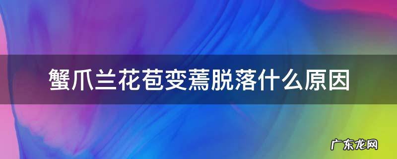 蟹爪兰花苞变蔫脱落什么原因 蟹爪兰花苞变蔫脱落什么原因蟹爪兰花期大约有多长