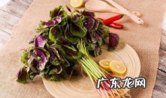 苋菜不能和什么一起吃 与苋菜相克食物大全 苋菜不能和什么一起吃