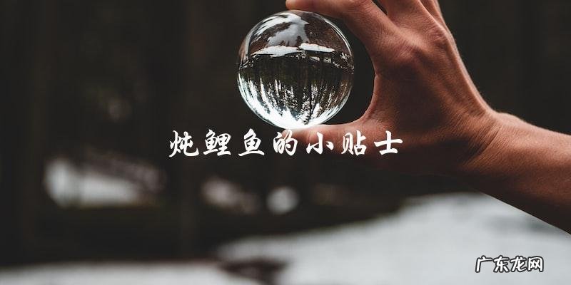 炖鲤鱼的家常做法