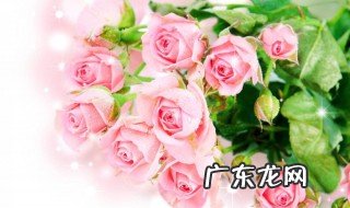 母亲节给母亲送什么花好 母亲节给母亲送什么花好一点