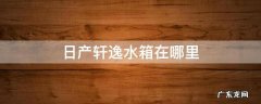 日产轩逸加水箱宝在什么位置 日产轩逸水箱在哪里