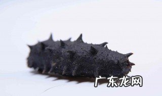 海参和什么不能一起吃 海参和什么不能一起吃海参和苹果