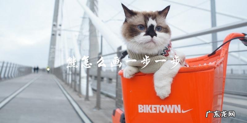 如何一步一步画出熊的图案?