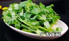 香菜不能和什么一起吃/同吃 香菜不能和什么一起吃