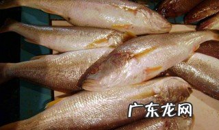 昂刺鱼不能和什么食物一起吃 鱼不能和什么食物一起吃