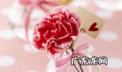朋友买车送什么花祝贺 朋友买车应该送什么花