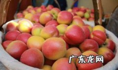 吃杏不能跟什么一起吃 吃杏不能和什么一起吃