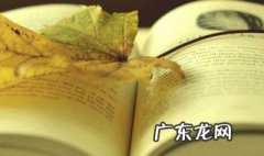 高老头梗概100字 高老头梗概