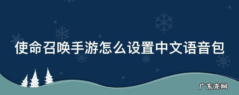 使命召唤手游在哪里设置语言 使命召唤手游怎么设置中文语音包