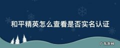 和平精英怎么查看是否实名认证成功 和平精英怎么查看是否实名认证