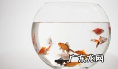 家里有什么不吉利 家里这物过大不招财反而漏财