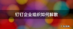 钉钉退出企业组织 钉钉企业组织如何解散