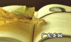 稻草人梗概100字 稻草人梗概