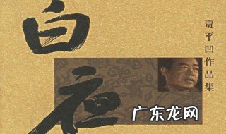 白夜梗概 白夜内容简介