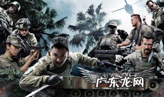 战狼梗概500字 战狼梗概