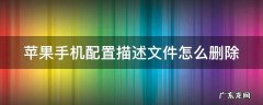 苹果手机配置描述文件怎么删除 苹果手机配置描述文件怎么删除不了