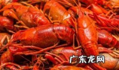 小龙虾的头可以吃吗吃法 很小的小龙虾的头是不是不能吃