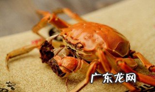 梭子蟹和什么不能一起吃 蟹和什么不能一起吃