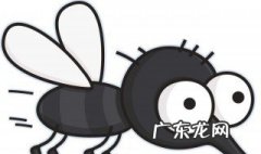 家中最简单又有效的灭蚊方法 家中最简单又有效的灭蚊方法视频