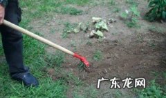 坟除草有讲究吗 坟墓除草有什么讲究