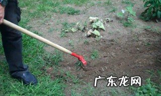 坟除草有讲究吗 坟墓除草有什么讲究