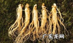 人参不能和什么一起吃? 人参不能和什么一起吃