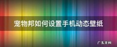 宠物屏保壁纸 宠物邦如何设置手机动态壁纸