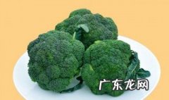 西兰花不能和什么一起吃 西兰花不能和什么一起吃香哈手机网