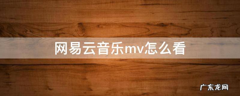 网易云音乐mv怎么看手机 网易云音乐mv怎么看