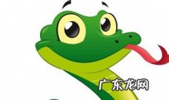 看到大蛇有什么讲究嘛 看到大蛇有什么讲究