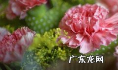 看病人送什么花 看病人送什么花合适