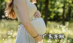 孕期燕窝的吃法 孕期燕窝的做法大全