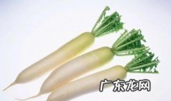 白萝卜的功效与作用对肺好吗 白萝卜的功效